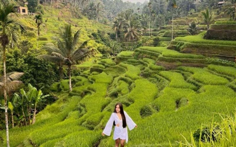 Ubud: Waterfall, Temple, & Jungle Swing Day Tour with Lunch - FAQ