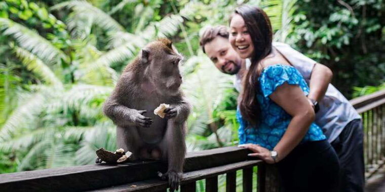 ubud-waterfall-water-temple-rice-terrace-ubud-market