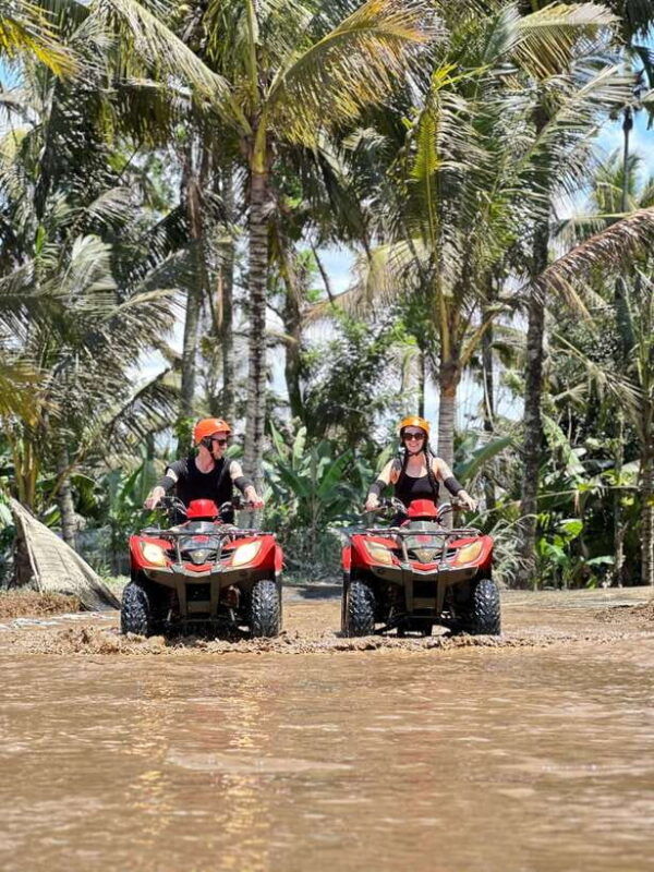 ubud-waterfall-with-jungle-swing-barong-cave-atv-tours