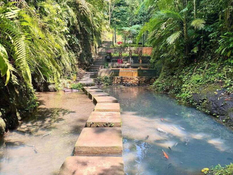 ubud-waterfall-with-jungle-swing-barong-cave-atv-tours