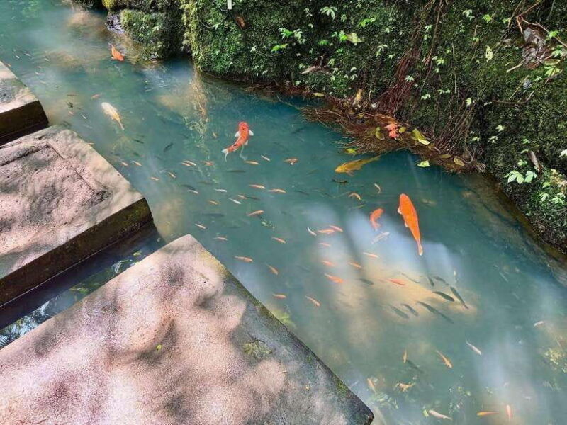 ubud-waterfall-with-jungle-swing-barong-cave-atv-tours