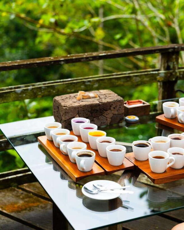 ubud-waterfalls-and-tegalalang-rice-terrace-private-tour