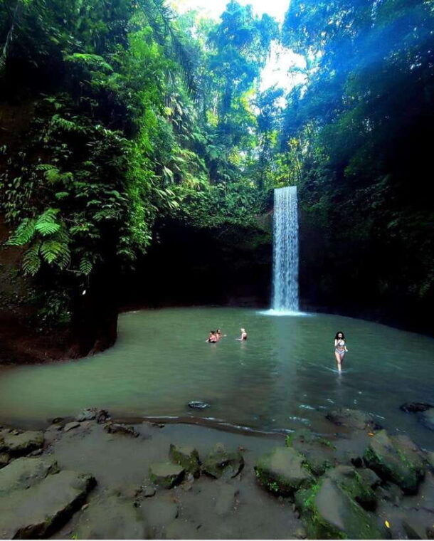 ubud-waterfalls-and-tegalalang-rice-terrace-private-tour