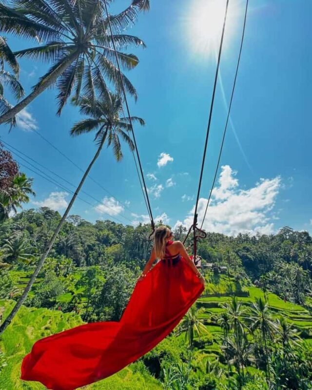 Ubud Waterfalls ,Rice Teraces ,& Swing ,Optional Art Galeria - Cultural Appreciation at a Local Art Gallery