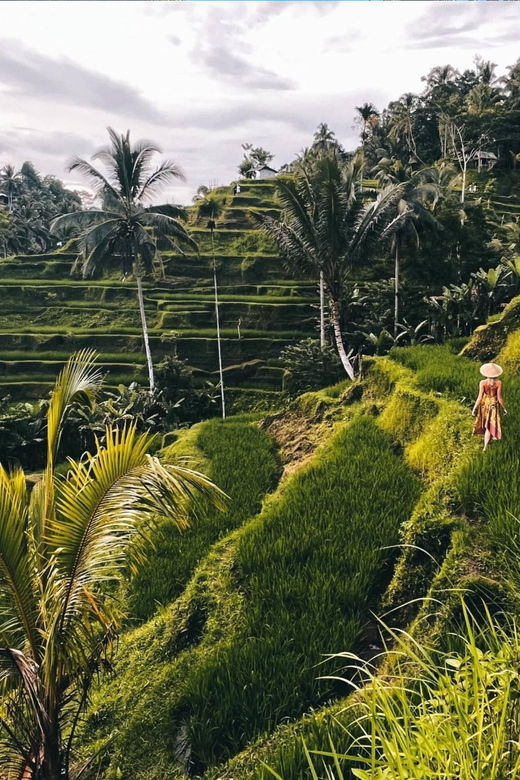 ubud-waterfalls-rice-terrace-temple-swing-private-tour