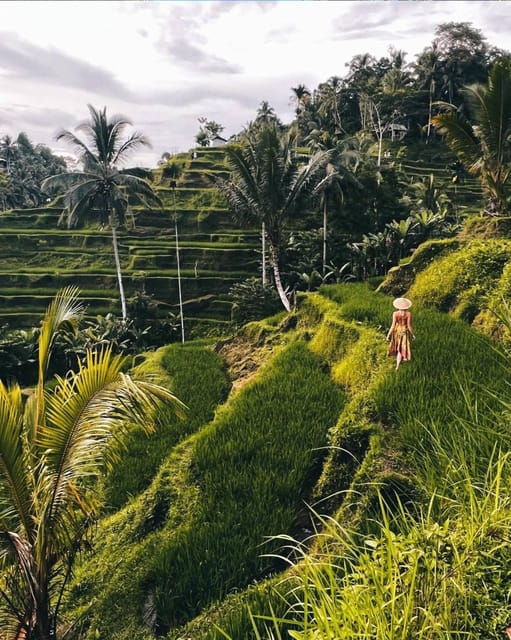 ubud-waterfalls-rice-terrace-temple-swing-private-tour