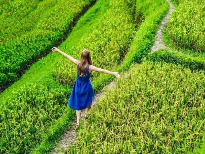 ubud-waterfalls-sacred-monkey-forest-rice-terraces-tour