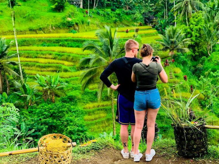 ubud-waterfalls-sacred-monkey-forest-rice-terraces-tour