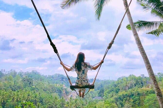 Ubud Waterfalls, Tegalalang rice Terrace and Ubud Jungle Swing - Final Thoughts: Who Will Love This Tour?