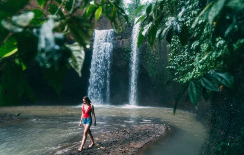 Ubud: Waterfalls, Temple, Monkey Forest Private Tour - Key Points