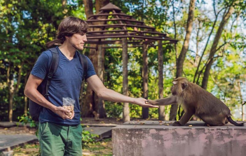 Ubud: Waterfalls, Temple, Monkey Forest Private Tour - Transportation and Comfort