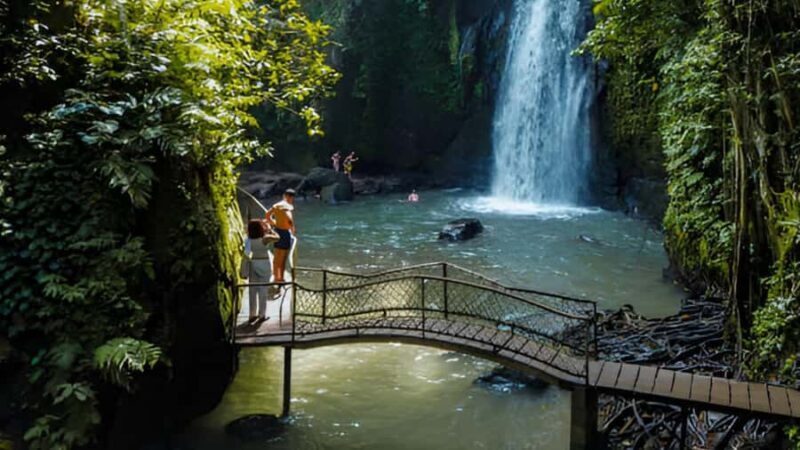 Ubud: Waterfalls, Temple, Monkey Forest Private Tour - Authentic Experiences and Visitor Insights