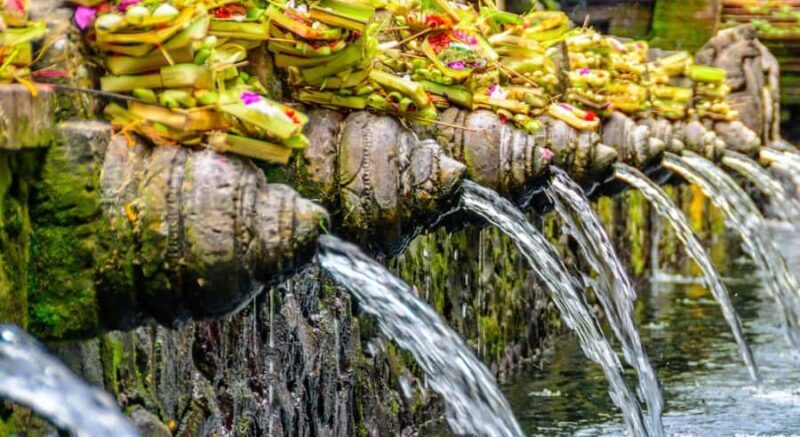 Ubud: Waterfalls, Temple & Rice Terraces Private Tour - Pricing and Value