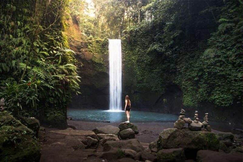 Ubud: Waterfalls, Tirta Mpul & Rice Terraces Private Tour - Who Will Benefit Most from This Tour?
