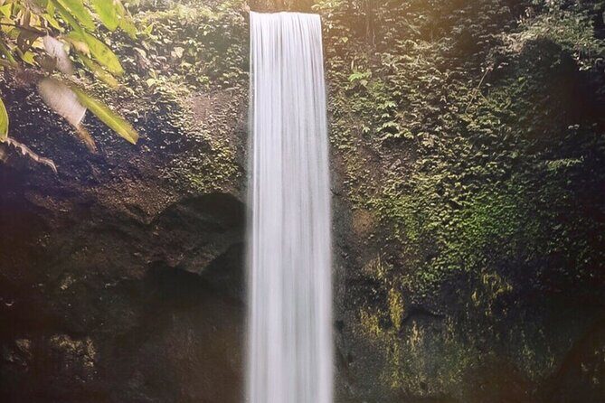 Ubud Waterfalls, Water Temple and Rice Terrace - Private Tour - Who Should Consider This Tour?