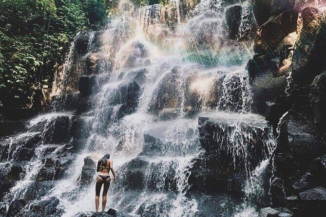 Ubud Waterfalls, Water Temple and Rice Terrace - Private Tour - The Sum Up