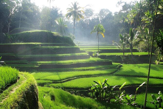 Ubud: Waterfalls, Water Temple & Rice Terraces Private Tour - Key Points