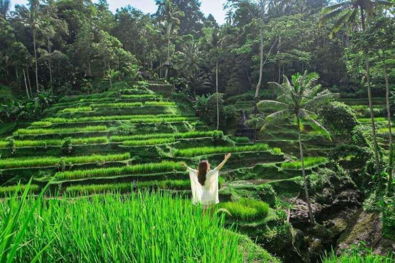 ubud-waterfalls-water-temple-rice-terraces-private-tour