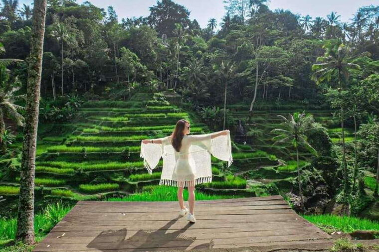 ubud-waterfalls-water-temple-rice-terraces-private-tour