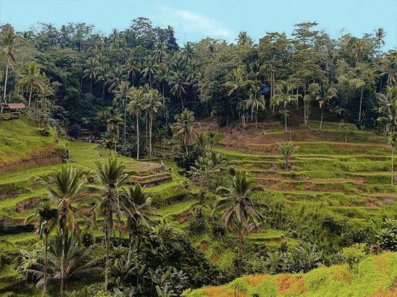 ubud-white-water-rafting-with-lunch-included