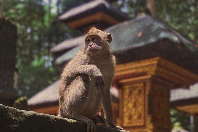 Ubud: White Water Rafting with visit Ubud Monkey Forest - Final Thoughts