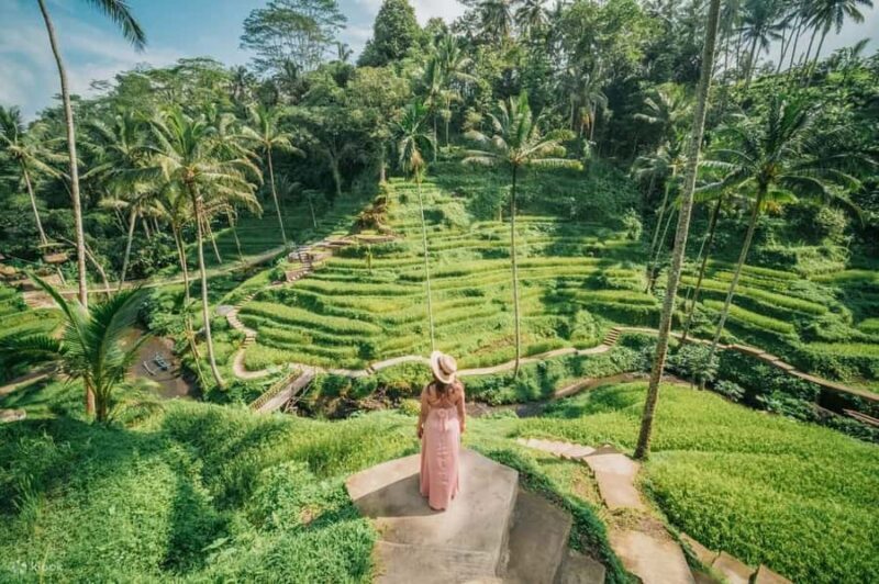 Ubud: Zip-Line, Sacred Temple, and Monkey Forest Tour - Key Points