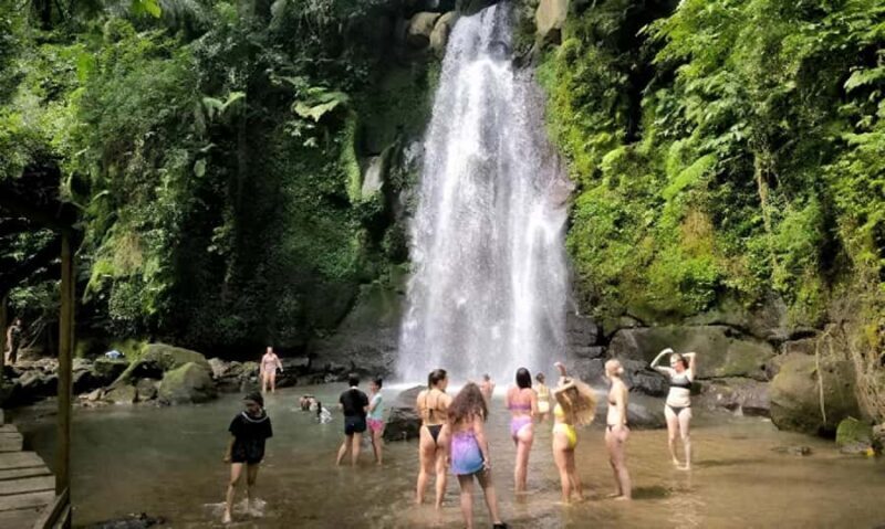 Ubud: Zipline, Waterfall & Tirta Empul Holy Temple Day Tour - What to Expect at Each Experience