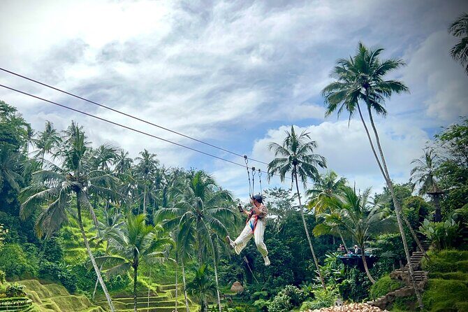 Ubud Zipline,Alas Harum combo experience with Private Car, Bali - Key Points