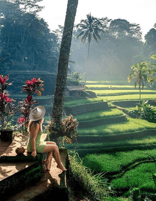ubudart-village-monkeyforest-ricefield-bali-swing-tour