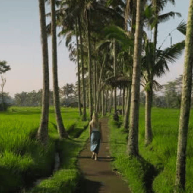 ubudcultural-day-tour-with-traditional-balinese-house-visit