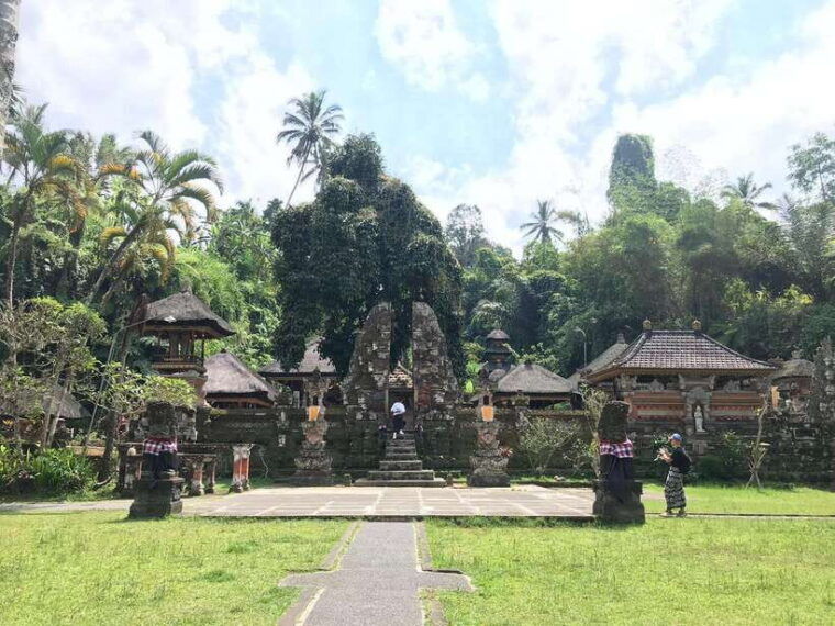 ubudmonkey-forest-rice-terraces-water-temples-waterfalls