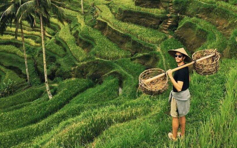 ubudprivate-tour-riceteraceswing-waterfall-tirta-empul