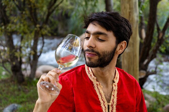 uco-deluxe-best-wineries-and-real-argentinian-asado