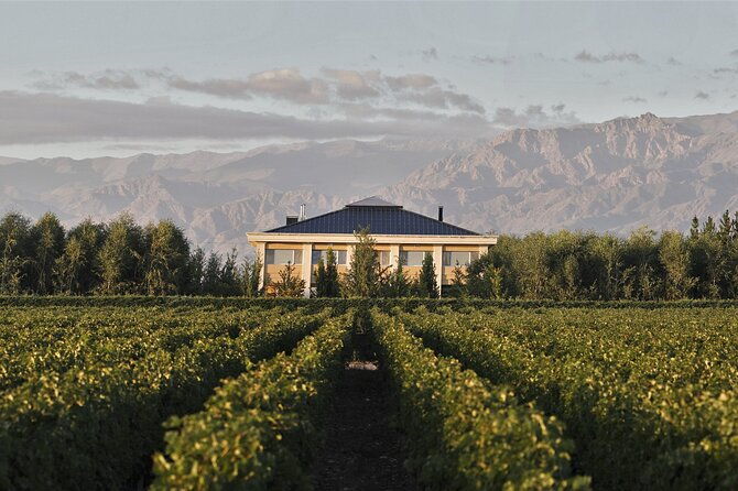 uco-valley-tasting-lunch-free-premium-wine