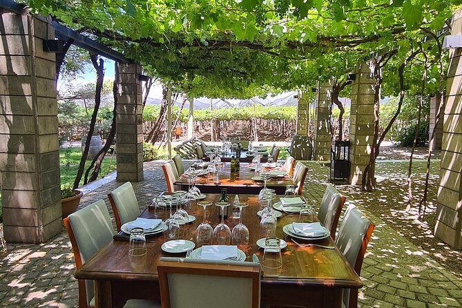 uco-valley-tasting-lunch-free-premium-wine