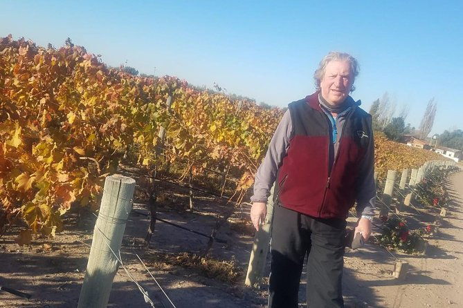 uco-valley-wine-tour