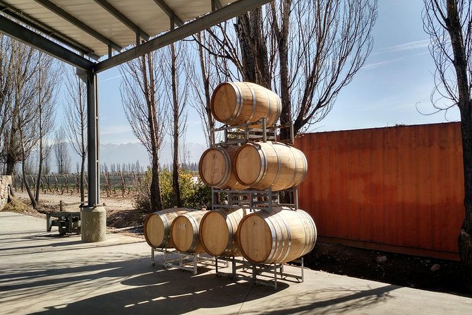 uco-valley-wine-tour