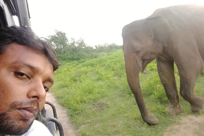 Uda Walawa Safari 1-Day-Tour from Mirissa, Weligama, Ahangama - The Sum Up