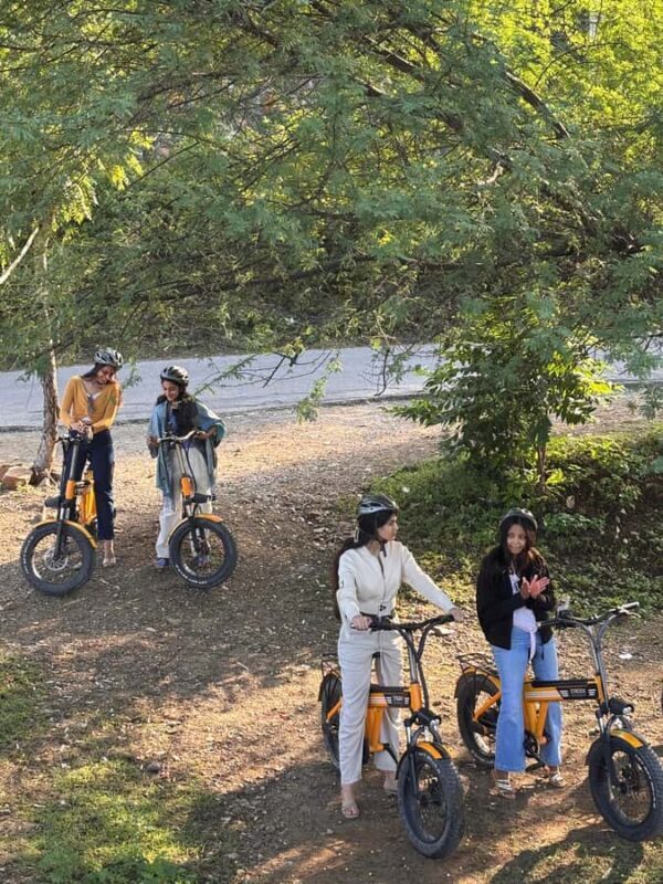 Udaipur: E-Cycling through lakes and villages - A Closer Look at the Experience