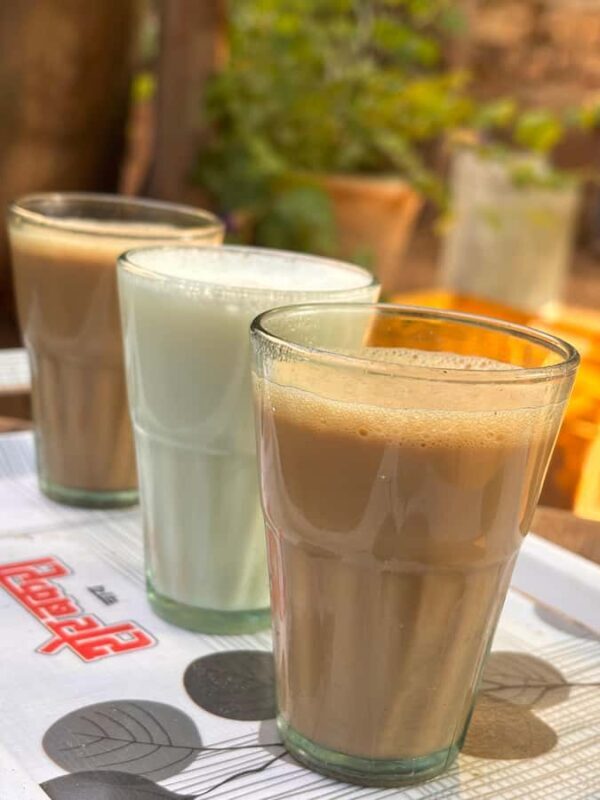 Udaipur: E-Cycling through lakes and villages - Final Thoughts