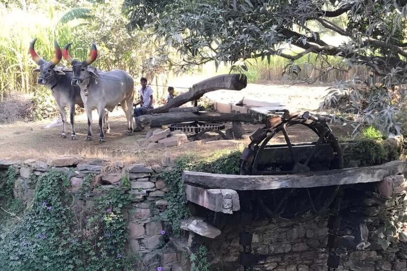 Udaipur: Private Village Tour by Tuk-Tuk or Car - FAQ