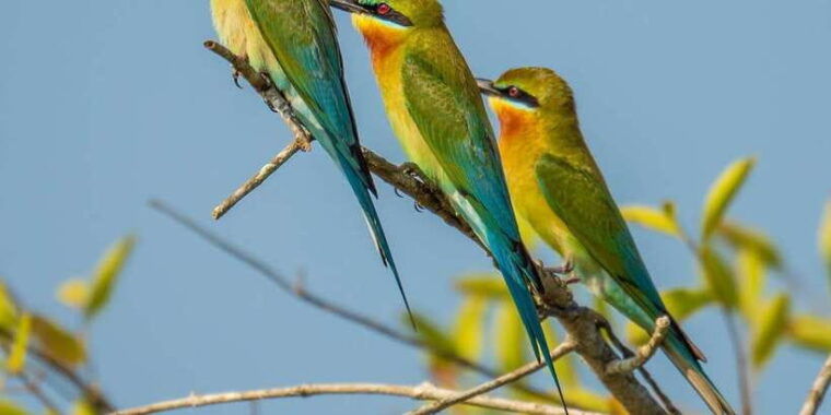udawalawa-national-park-44-private-safari-jeep-tour