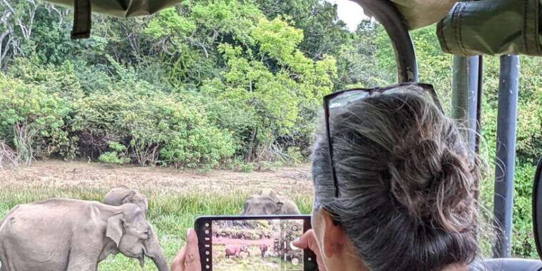 udawalawa-national-park-44-private-safari-jeep-tour