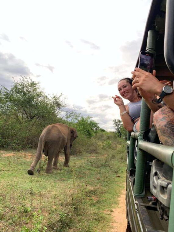 udawalawa-national-park-all-inclusive-safari-day-tour