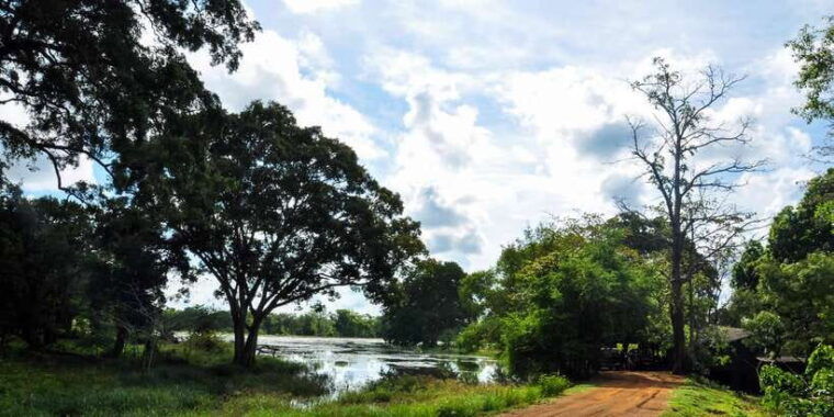udawalawa-national-park-private-safari