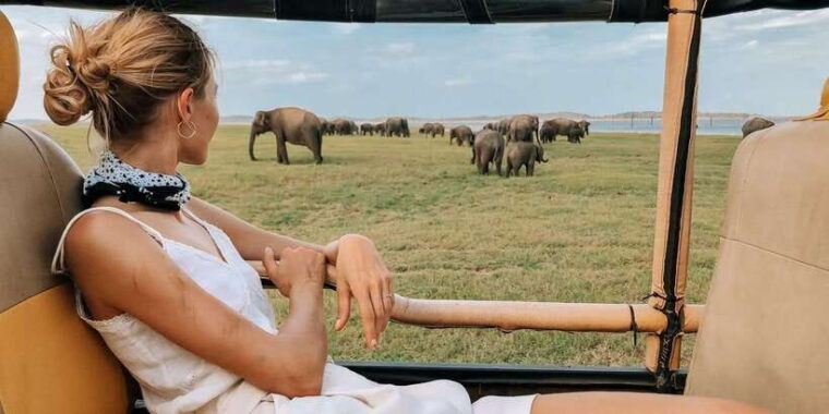 udawalawa-private-udawalawa-national-park-safari-tour