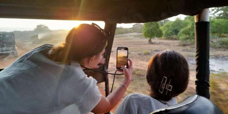 udawalawa-safari-w-tush-with-pickup-drop-off-both-at-ella