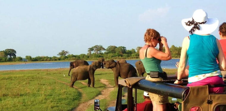 udawalawa-udawalawa-national-park-safari-tour