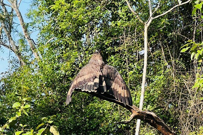 Udawalawa Wild Life Safari - Final Thoughts