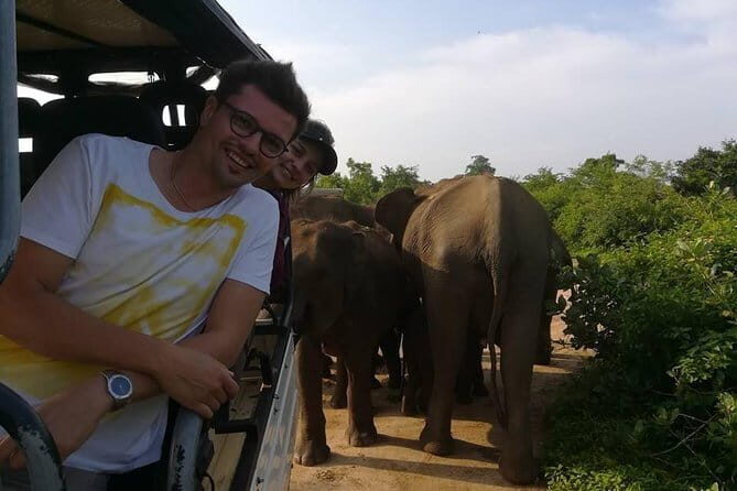 Udawalawe City to Hikkaduwa City Private Transfer - Authentic Experiences and Tips from Previous Travelers